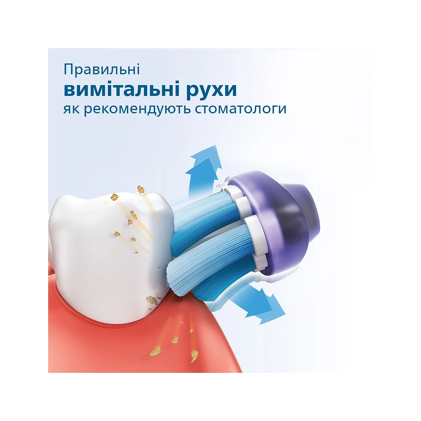 Зображення товару Зубна щітка Philips Sonicare 2100 Series HX3651/123