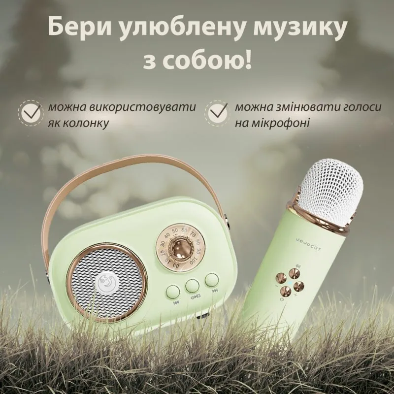 Зображення товару Портативна колонка C20GR2